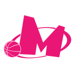KK Mega Basket