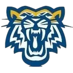Andrew Fighting Tigers