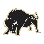 Harding Bisons