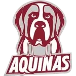Aquinas Saints