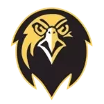 Pfeiffer Falcons
