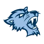 Baruch Bearcats