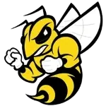 Randolph Macon Yellow Jackets