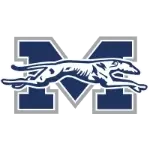Moravian Greyhounds