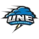 New England Nor'easters