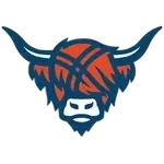 Macalester Scots