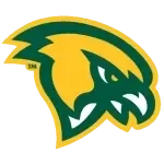 Fitchburg Falcons