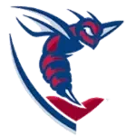 Shenandoah Hornets