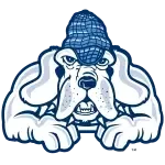 John Jay Bloodhounds