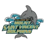 Mount St. Vincent Dolphins