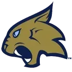 Thiel Tomcats