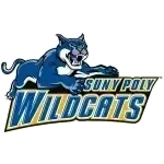SUNY Poly Wildcats