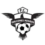 Halcones Negros FC