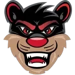 Cincinnati Bearcats