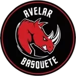 Avelar Basquete