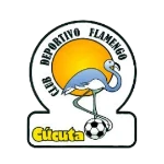 Flamengo Cúcuta