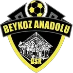 Beykoz Anadolu Spor U19