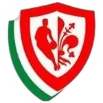 Pino Dragons B