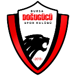 Doğugücü FK