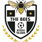 The Bees FC