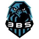 3BS