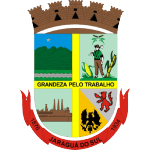 Jaraguaense U17