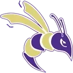 Defiance Yellow Jackets
