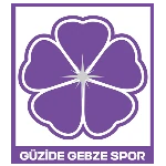 Guzide Gebzespor U19