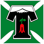 Deportes Temuco U20