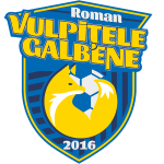 Vulpițele Galbene Roman