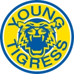 Young Tigress