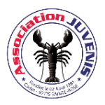 Juvenis