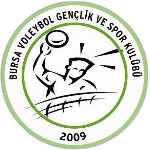 Bursa Voleybol