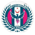 Seydişehir Cimnastik Spor