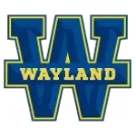 Wayland Baptist Pioneers
