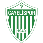 Çayeli Spor