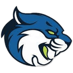 Bryant & Stratton Bobcats