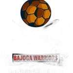 Bajoga Utd Fc