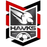 Holland Park Hawks