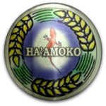 Ha'amoko United