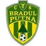 CS Bradul Putna