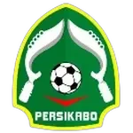 Persikabo U16