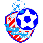 ACS Juniorul Salcea