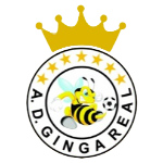 Ginga Real