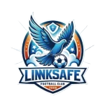 Jinan Linksafe
