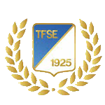 TFSE