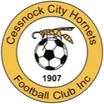 Cessnock City Hornets Reserves