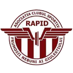 ACS Rapid Frumoșii Nebuni ai Giuleștiului