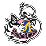 Vantaa Ducks