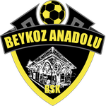 Beykoz Anadolu Spor A.Ş.
